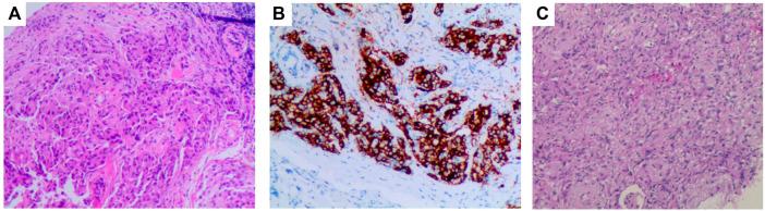 https://cdn.ncbi.nlm.nih.gov/pmc/blobs/a26b/9299059/ec7c114db4ec/fphar-13-816683-g002.jpg