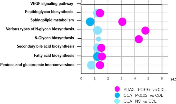 https://cdn.ncbi.nlm.nih.gov/pmc/blobs/a26c/12081727/3b024e74abdf/41598_2025_976_Fig8_HTML.jpg
