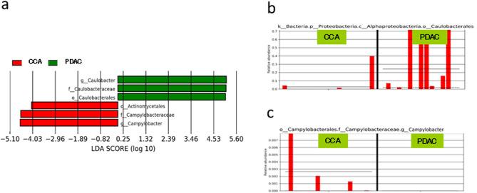 https://cdn.ncbi.nlm.nih.gov/pmc/blobs/a26c/12081727/5e04d2d17ac6/41598_2025_976_Fig6_HTML.jpg