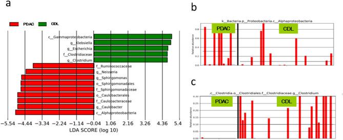 https://cdn.ncbi.nlm.nih.gov/pmc/blobs/a26c/12081727/79b970306218/41598_2025_976_Fig5_HTML.jpg