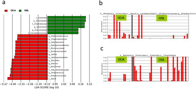 https://cdn.ncbi.nlm.nih.gov/pmc/blobs/a26c/12081727/fab95e72ee56/41598_2025_976_Fig4_HTML.jpg