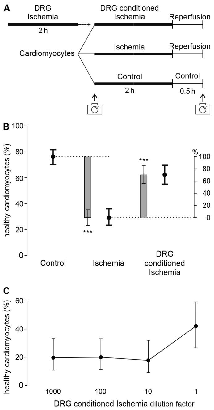 https://cdn.ncbi.nlm.nih.gov/pmc/blobs/a26d/11351881/122194d1ec37/biomedicines-12-01856-g001.jpg