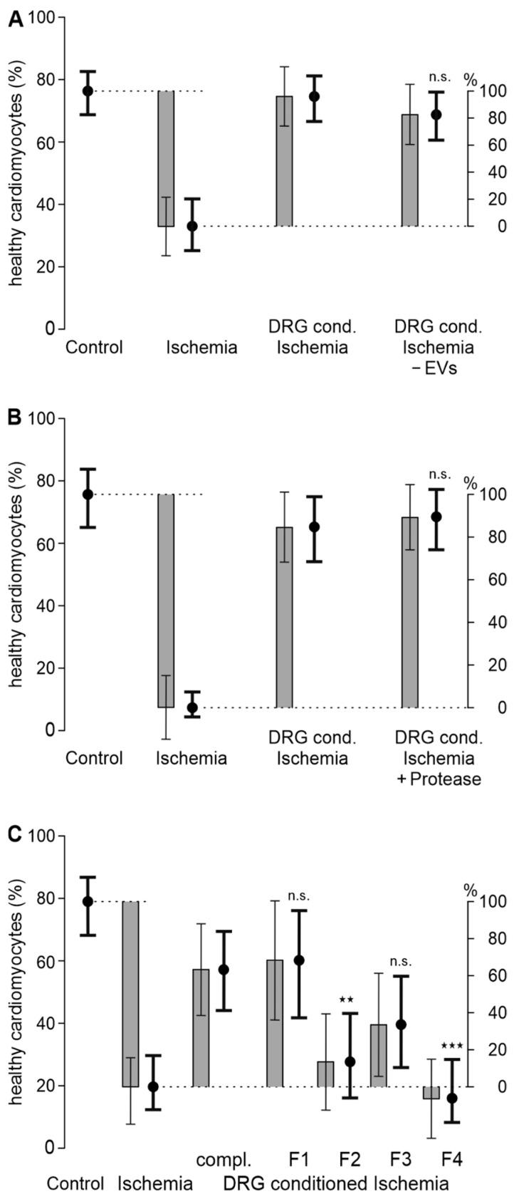 https://cdn.ncbi.nlm.nih.gov/pmc/blobs/a26d/11351881/b48522009693/biomedicines-12-01856-g002.jpg