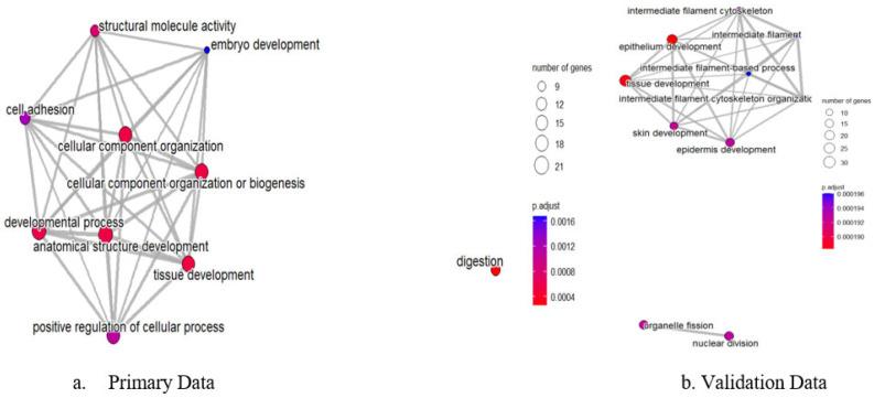 https://cdn.ncbi.nlm.nih.gov/pmc/blobs/a26d/12296158/35ac146d3420/genes-16-00829-g007.jpg