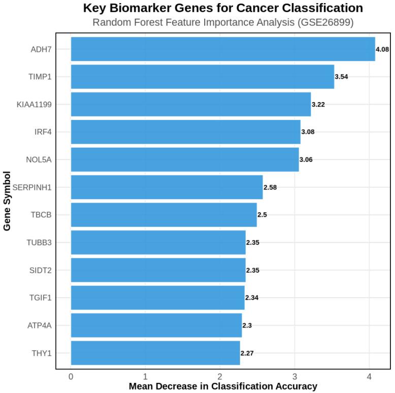https://cdn.ncbi.nlm.nih.gov/pmc/blobs/a26d/12296158/82d8131e5262/genes-16-00829-g004.jpg