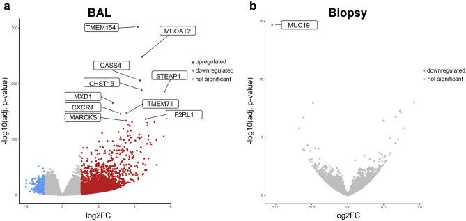 https://cdn.ncbi.nlm.nih.gov/pmc/blobs/a270/10798985/e6e2701b5594/41598_2024_51547_Fig4_HTML.jpg