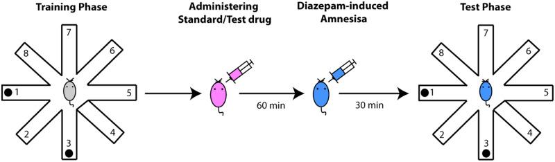 https://cdn.ncbi.nlm.nih.gov/pmc/blobs/a271/7474860/45d4ead83916/bpaa013f9.jpg