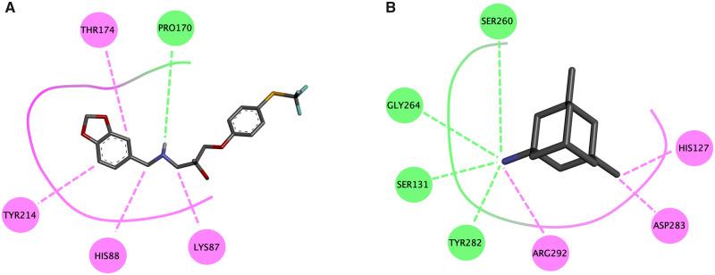 https://cdn.ncbi.nlm.nih.gov/pmc/blobs/a271/7474860/5a1bad3df666/bpaa013f8.jpg