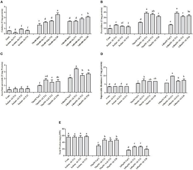 https://cdn.ncbi.nlm.nih.gov/pmc/blobs/a271/8226221/01b652c607a9/fpls-12-665590-g0005.jpg