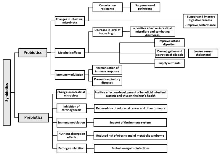 https://cdn.ncbi.nlm.nih.gov/pmc/blobs/a272/5622781/3806dbe212c8/nutrients-09-01021-g001.jpg