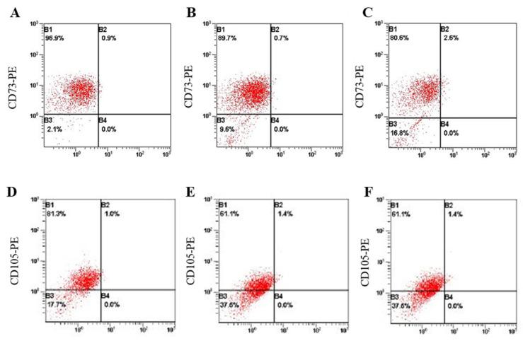 https://cdn.ncbi.nlm.nih.gov/pmc/blobs/a272/8835879/d559507dc9f7/ijms-23-01522-g011.jpg
