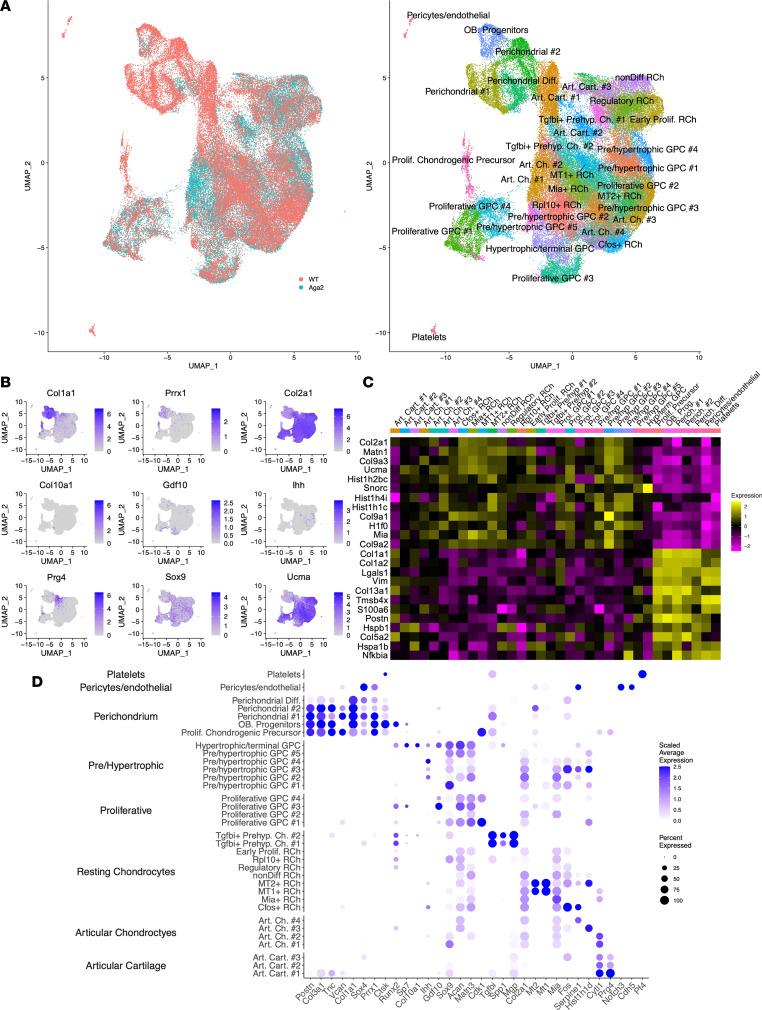 https://cdn.ncbi.nlm.nih.gov/pmc/blobs/a274/10721276/608eff7f8741/jciinsight-8-171984-g136.jpg