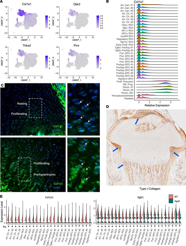 https://cdn.ncbi.nlm.nih.gov/pmc/blobs/a274/10721276/747c8ff37a35/jciinsight-8-171984-g138.jpg