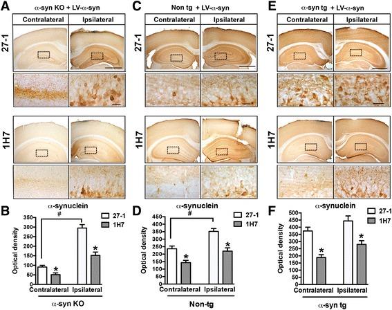 https://cdn.ncbi.nlm.nih.gov/pmc/blobs/a274/5237270/09c3ade57caf/40478_2016_410_Fig6_HTML.jpg