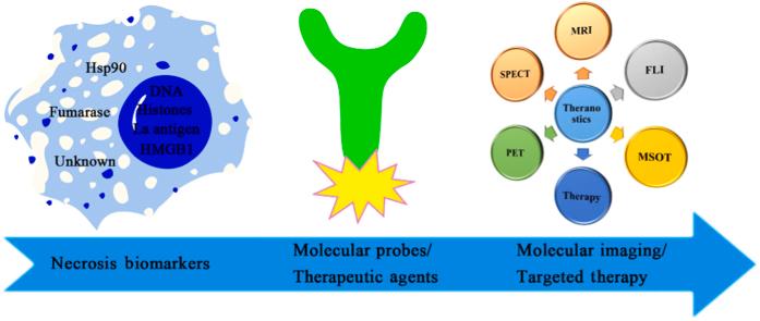 https://cdn.ncbi.nlm.nih.gov/pmc/blobs/a274/6543088/0e9db12febf0/fx1.jpg