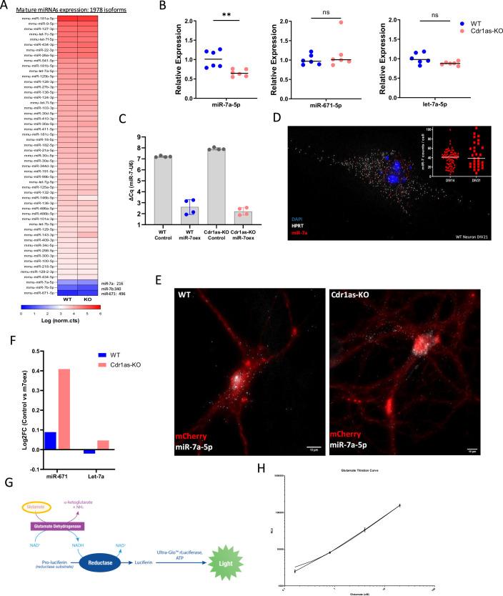 https://cdn.ncbi.nlm.nih.gov/pmc/blobs/a275/11239925/e2cc945e79ee/44319_2024_168_Fig10_ESM.jpg
