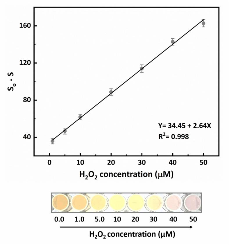https://cdn.ncbi.nlm.nih.gov/pmc/blobs/a277/11790969/2c45e6426af7/41598_2025_88342_Fig6_HTML.jpg