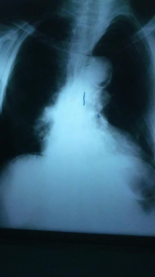 https://cdn.ncbi.nlm.nih.gov/pmc/blobs/a27c/8932322/01948631eea9/12893_2022_1541_Fig3_HTML.jpg