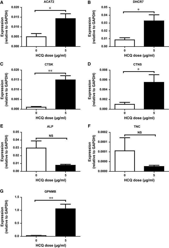 https://cdn.ncbi.nlm.nih.gov/pmc/blobs/a27e/5783866/9fcc43533c67/JCMM-22-873-g003.jpg