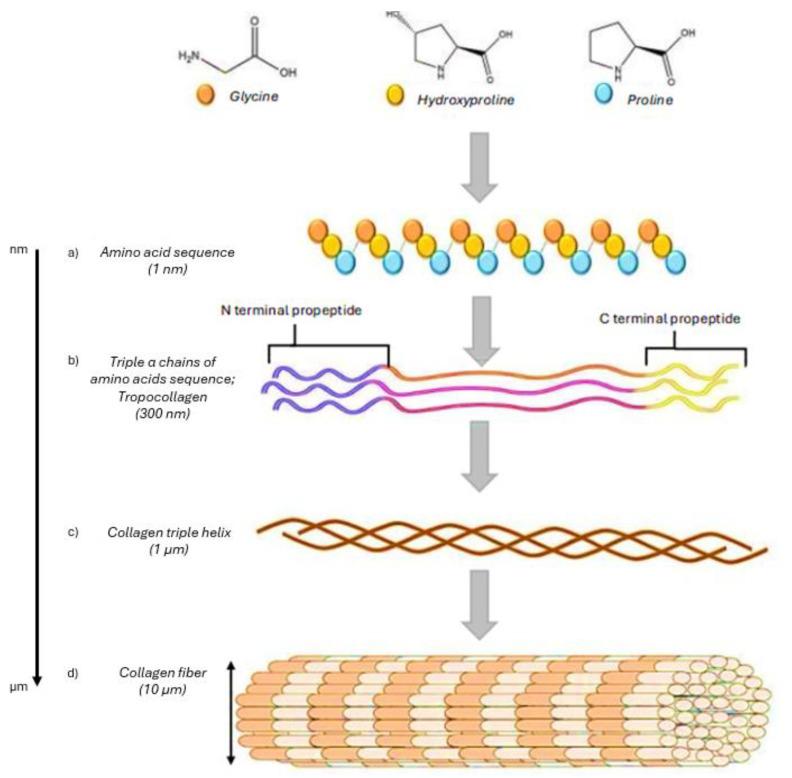 https://cdn.ncbi.nlm.nih.gov/pmc/blobs/a282/12026876/7d492b78bd6c/gels-11-00271-g001.jpg
