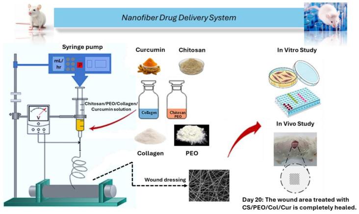 https://cdn.ncbi.nlm.nih.gov/pmc/blobs/a282/12026876/85a7b0614af2/gels-11-00271-g009.jpg