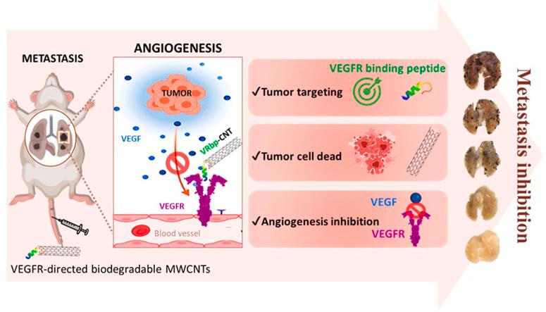 https://cdn.ncbi.nlm.nih.gov/pmc/blobs/a284/10787223/86974348c225/ga1.jpg