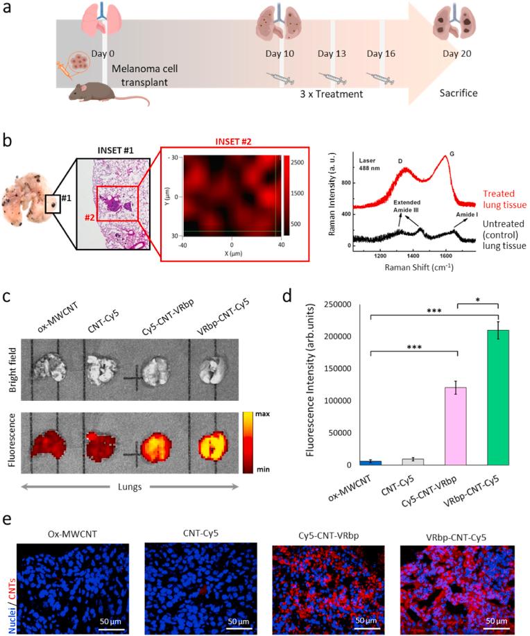 https://cdn.ncbi.nlm.nih.gov/pmc/blobs/a284/10787223/b42c5384b28e/gr3.jpg