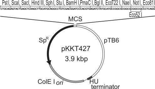 https://cdn.ncbi.nlm.nih.gov/pmc/blobs/a286/2615632/a3b76424e71e/gkn884f3.jpg