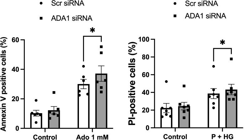 https://cdn.ncbi.nlm.nih.gov/pmc/blobs/a288/9905624/2bfff163e718/fendo-14-1060675-g007.jpg