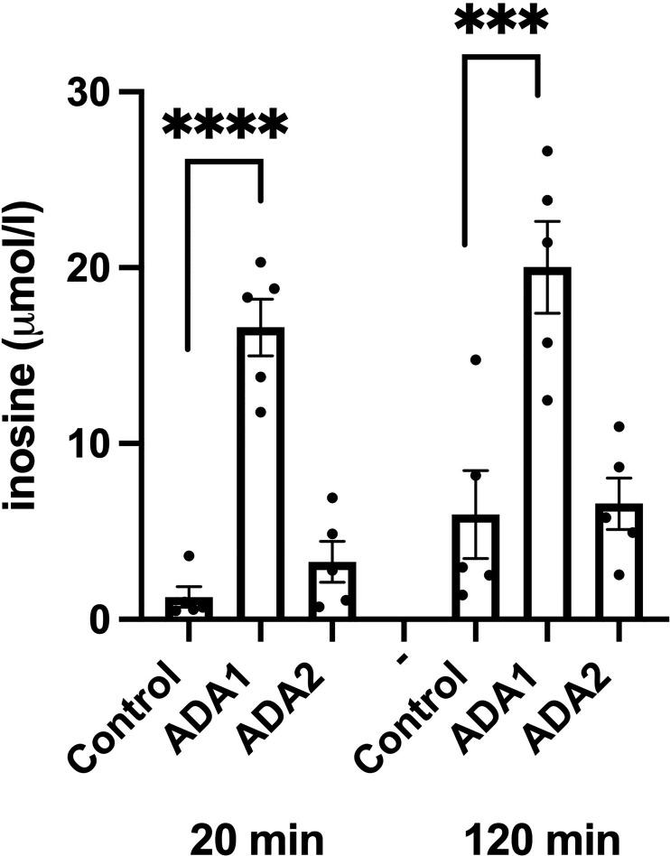 https://cdn.ncbi.nlm.nih.gov/pmc/blobs/a288/9905624/b0fb3a774608/fendo-14-1060675-g006.jpg