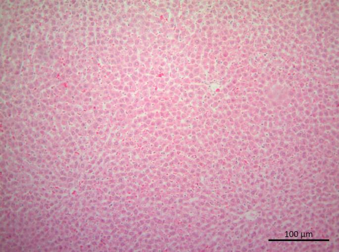 https://cdn.ncbi.nlm.nih.gov/pmc/blobs/a289/10440976/f18ebb4aaca4/eajm-55-2-104_f001.jpg