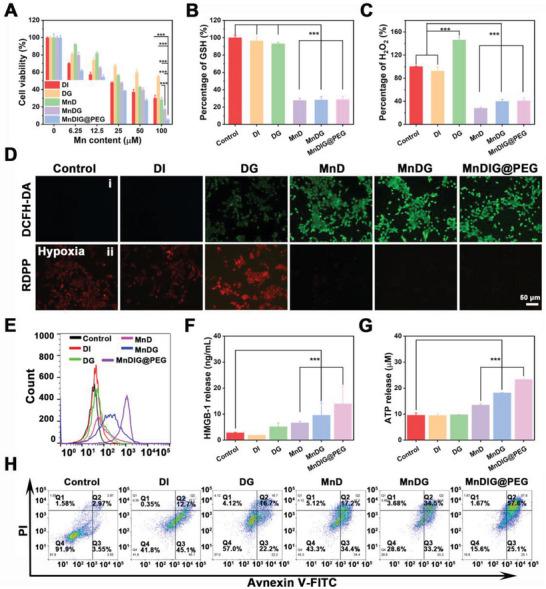 https://cdn.ncbi.nlm.nih.gov/pmc/blobs/a289/10700178/23391c21f7c8/ADVS-10-2303580-g006.jpg