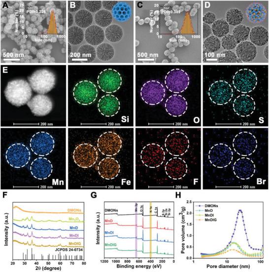 https://cdn.ncbi.nlm.nih.gov/pmc/blobs/a289/10700178/85771b0849ab/ADVS-10-2303580-g002.jpg