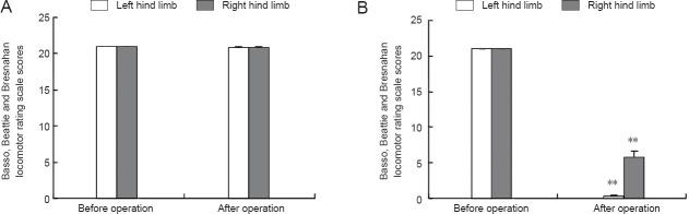 https://cdn.ncbi.nlm.nih.gov/pmc/blobs/a289/4392671/447f5e18892f/NRR-10-237-g002.jpg