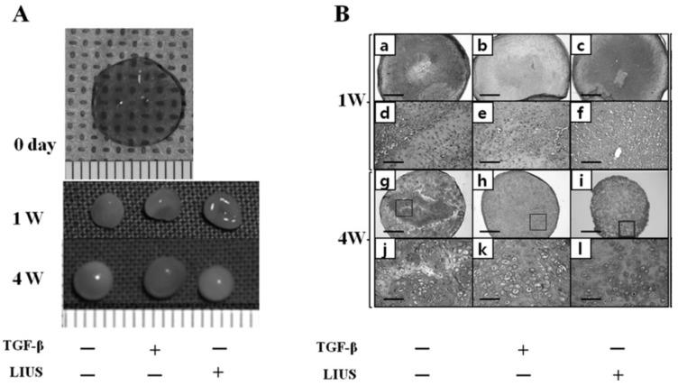 https://cdn.ncbi.nlm.nih.gov/pmc/blobs/a289/6274238/803f66f411ba/molecules-21-00590-g009.jpg