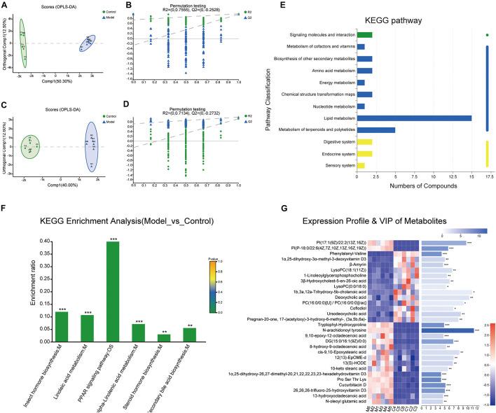 https://cdn.ncbi.nlm.nih.gov/pmc/blobs/a289/8599278/53787cb50a32/fphys-12-733979-g005.jpg
