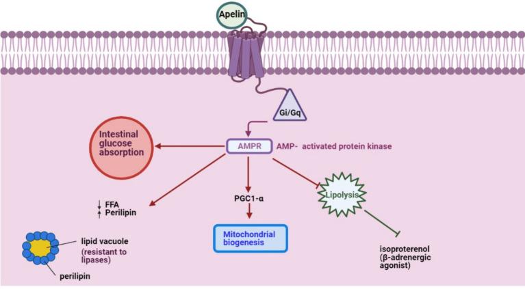 https://cdn.ncbi.nlm.nih.gov/pmc/blobs/a28b/11302411/46a038a8af4c/fvets-11-1435788-g001.jpg