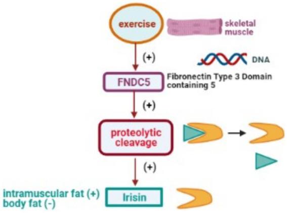 https://cdn.ncbi.nlm.nih.gov/pmc/blobs/a28b/11302411/d179dd28057a/fvets-11-1435788-g005.jpg