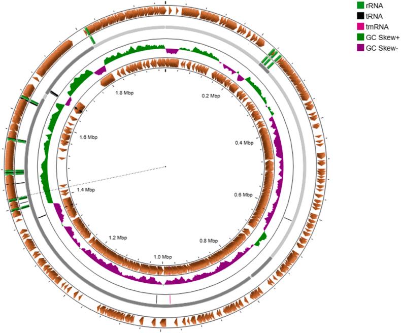 https://cdn.ncbi.nlm.nih.gov/pmc/blobs/a28b/12391255/a817619cc70e/gr1.jpg