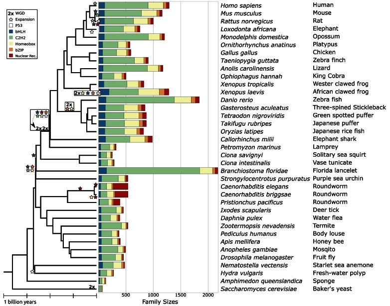 https://cdn.ncbi.nlm.nih.gov/pmc/blobs/a28d/5291267/8cefa9639921/gkw492fig1.jpg
