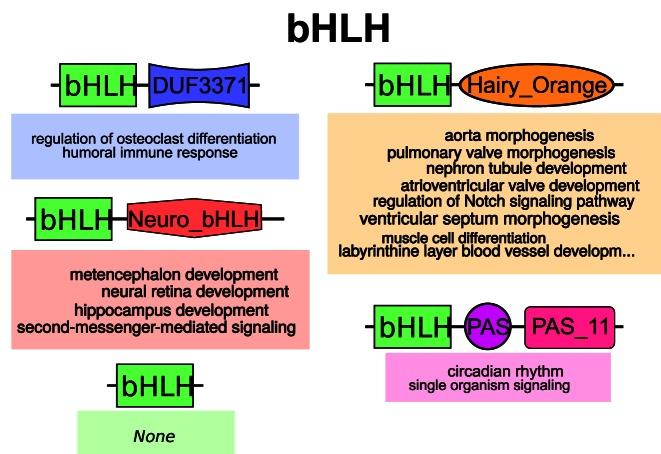 https://cdn.ncbi.nlm.nih.gov/pmc/blobs/a28d/5291267/9c74100ec96f/gkw492fig3.jpg