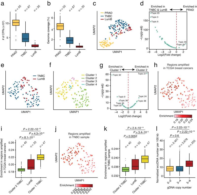 https://cdn.ncbi.nlm.nih.gov/pmc/blobs/a28e/10897160/9af9ba37e234/41467_2024_45972_Fig4_HTML.jpg
