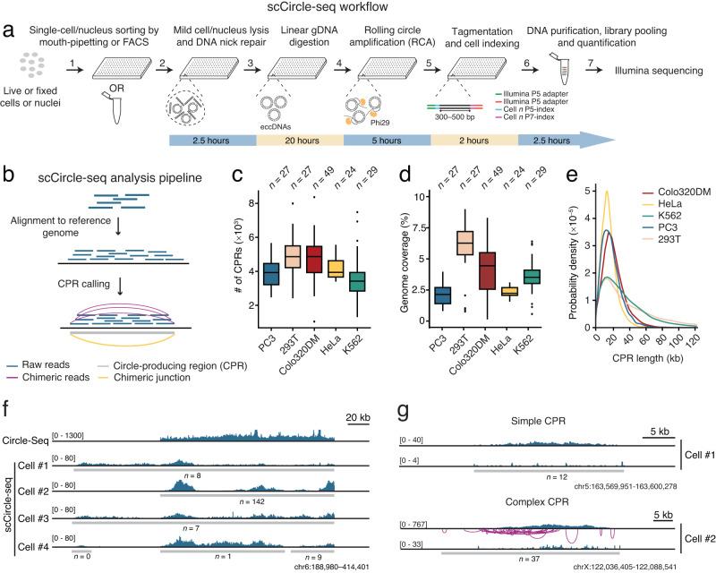 https://cdn.ncbi.nlm.nih.gov/pmc/blobs/a28e/10897160/b02e6045e335/41467_2024_45972_Fig1_HTML.jpg