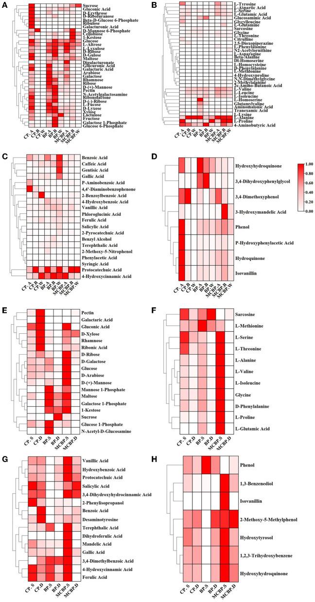 https://cdn.ncbi.nlm.nih.gov/pmc/blobs/a293/10771852/434bdab5e396/fmicb-14-1327481-g0005.jpg