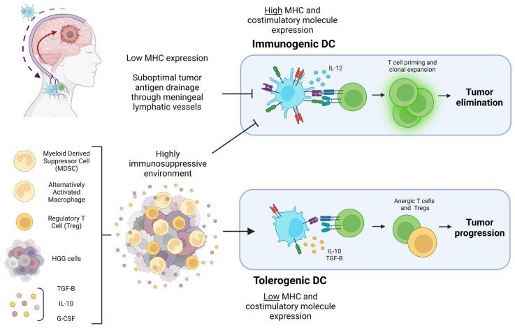 https://cdn.ncbi.nlm.nih.gov/pmc/blobs/a294/10251930/064d9c340d37/cancers-15-02902-g001.jpg