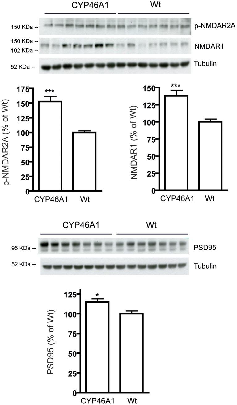 https://cdn.ncbi.nlm.nih.gov/pmc/blobs/a294/3712995/2b6a51708e5c/pone.0068534.g003.jpg