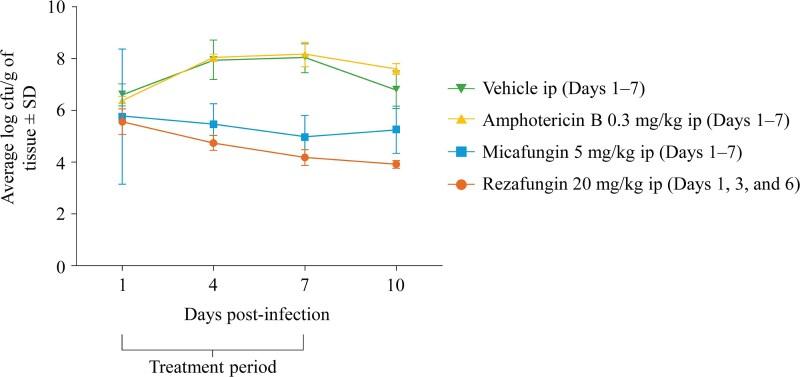https://cdn.ncbi.nlm.nih.gov/pmc/blobs/a295/12129586/62f27e4c962a/dkaf124f3.jpg