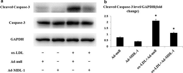 https://cdn.ncbi.nlm.nih.gov/pmc/blobs/a297/5681784/a1dc206427d2/12967_2017_1336_Fig6_HTML.jpg