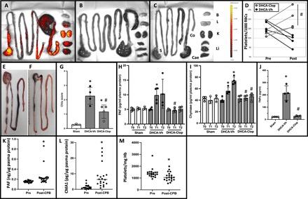 https://cdn.ncbi.nlm.nih.gov/pmc/blobs/a298/7080499/d2e09b972713/aay6314-F6.jpg