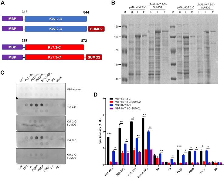 https://cdn.ncbi.nlm.nih.gov/pmc/blobs/a298/8488601/1339d801ee73/gr3.jpg